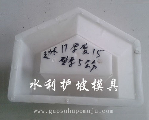 1607063854178156.jpg 連鎖護坡磚模具